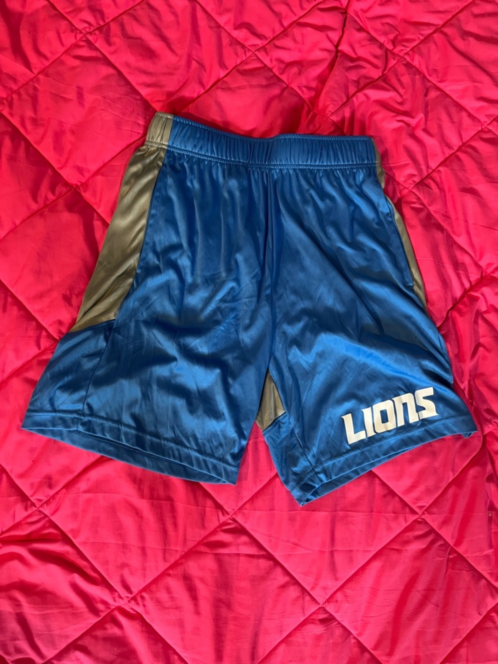 Logo Athletic Blue & Gray Lions Training Shorts